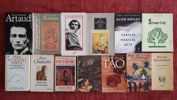 Literatura: Artaud/ Breytenbach/ Chatwin/ F. Capra/ Rimbaud/ Miller/