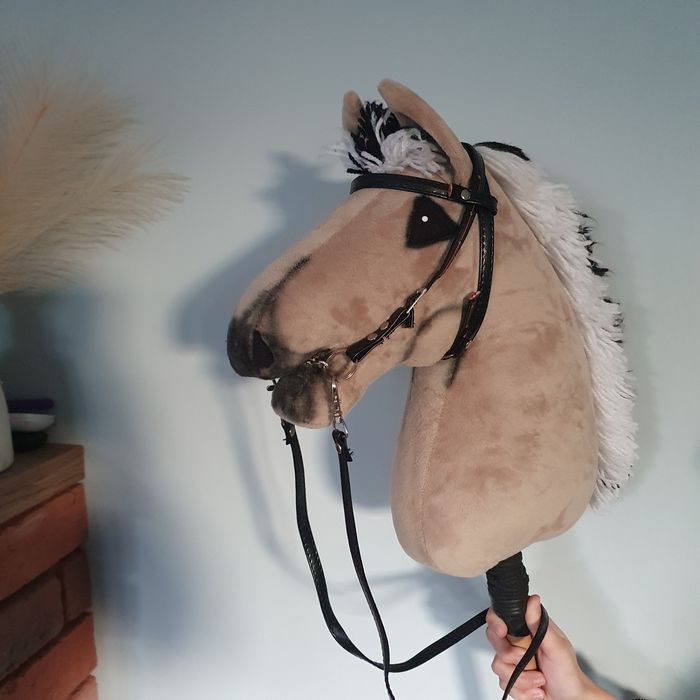 Hobby horse Fiord A3 XXL