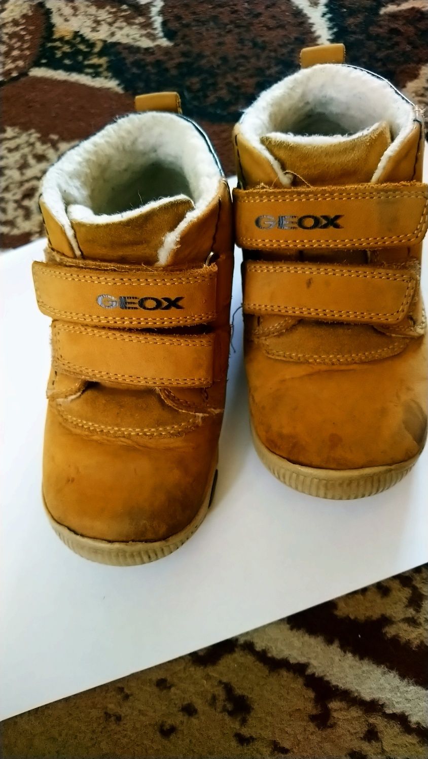 Buty geox przejściowe r 24