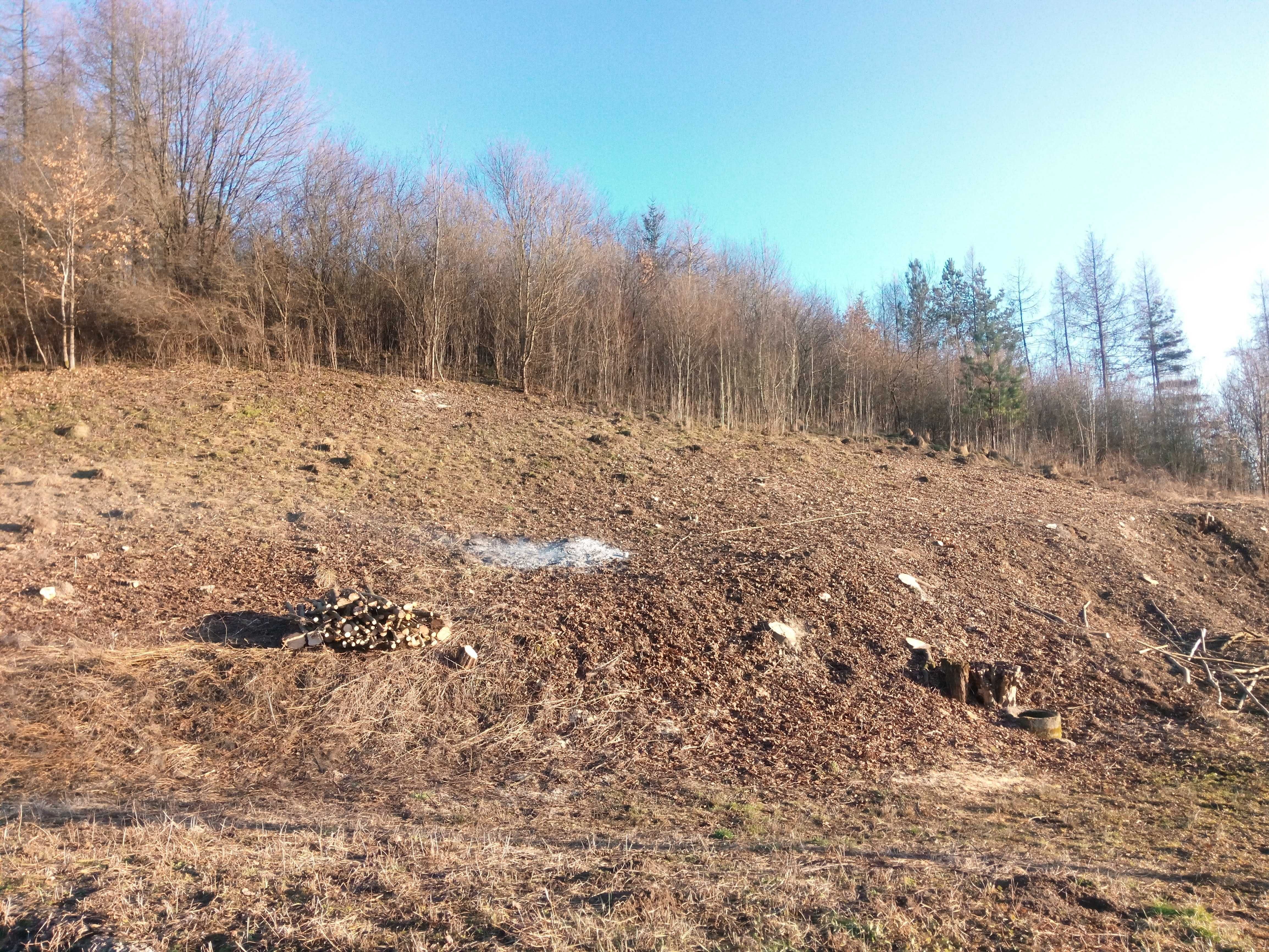 Działka 39a. Bachów, krążki