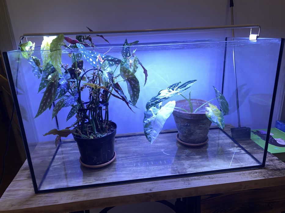 Akwarium 126l bez ryb