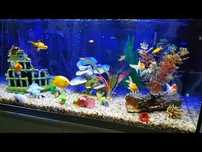 BAIXA DE PREÇO  AQUARIO conjunto para os entusiastas da aquariofilia!