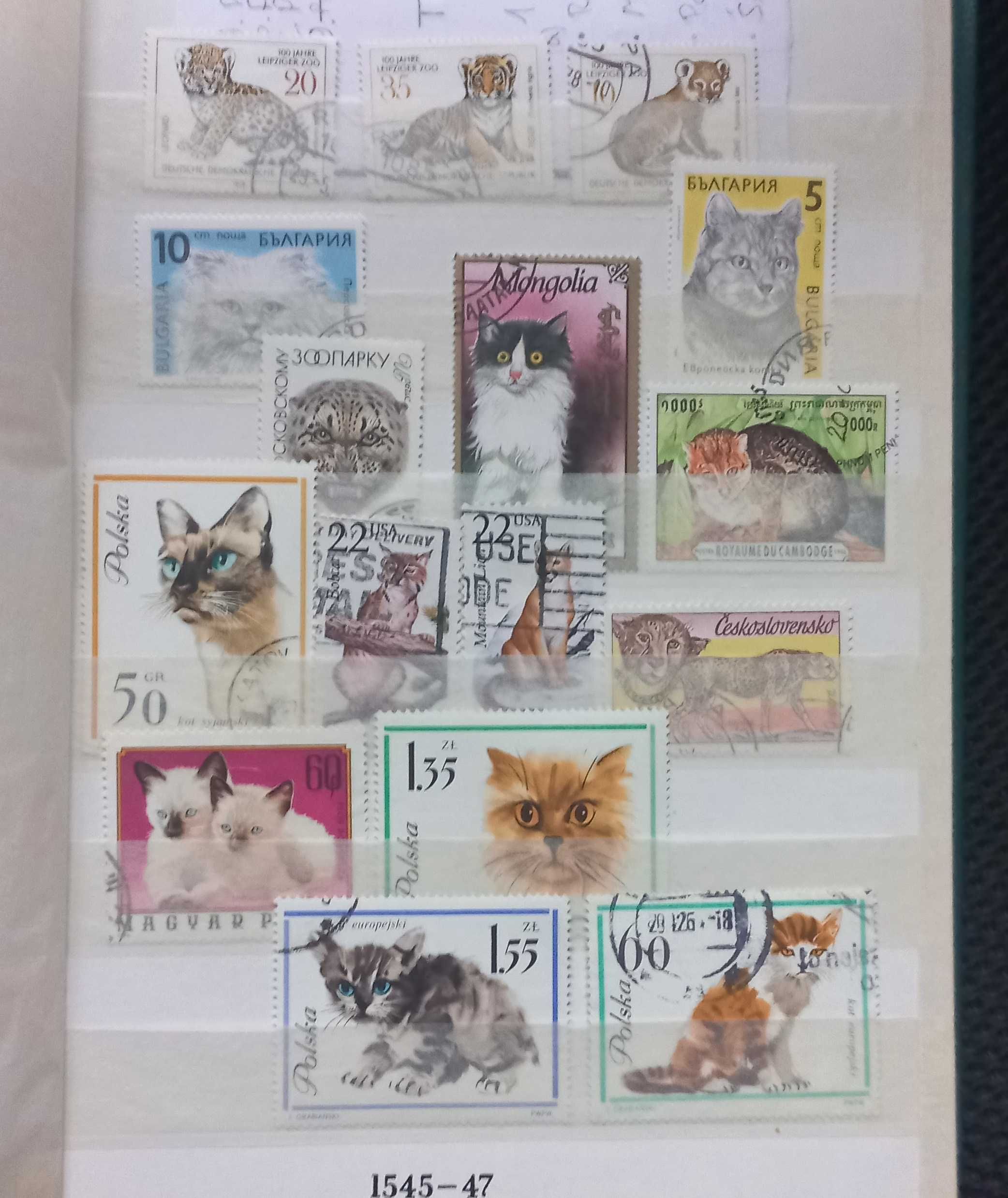 Zestaw znaczków pocztowych - Koty - Zwierzęta