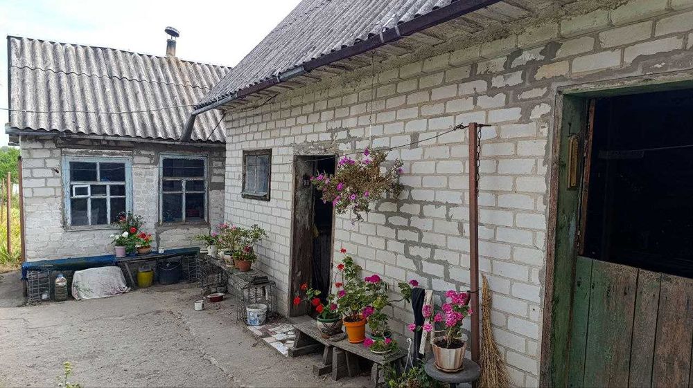 Продам дом в Подгородном с отличным участком