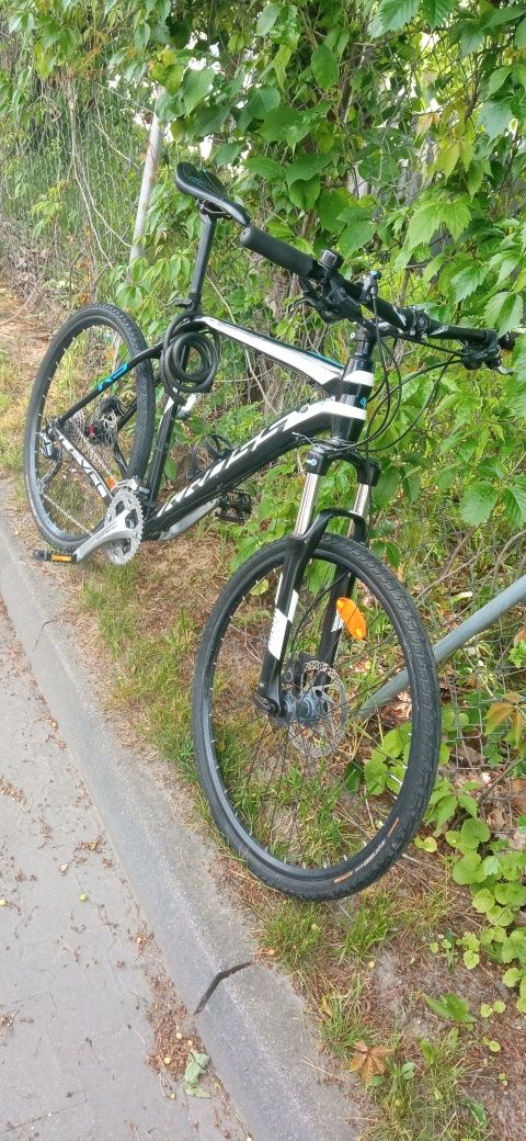 Rower Kross Level R3