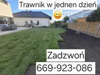 Trawniki z rolki oraz siewu