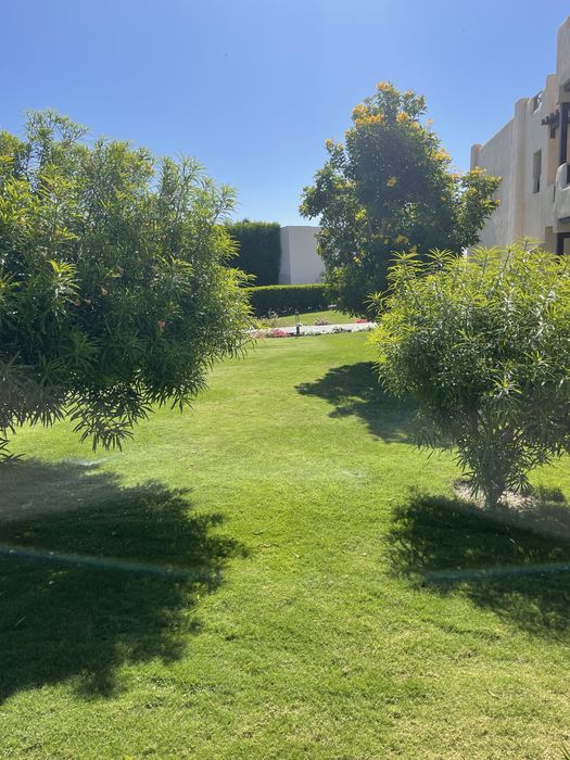 Trawnik z rolki równanie terenu niwelacja ziemia