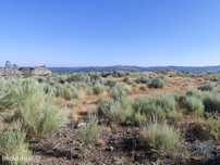 Terreno em Sernancelhe e Sarzeda de 51606,00 m2