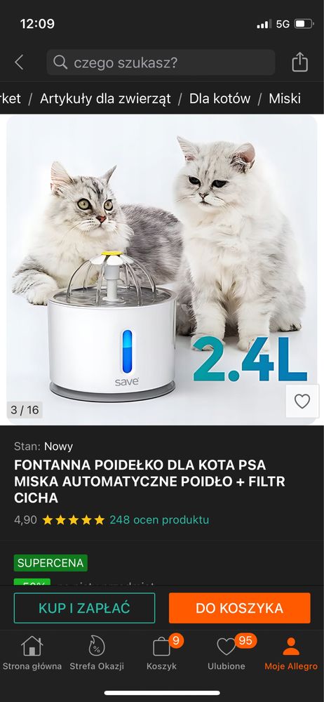 Fontanna dla kota, wysoka jakosc