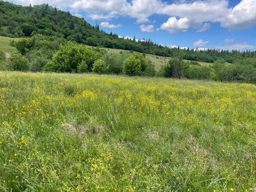 Продаж ділянки Сколівські Бескиди 1.65га