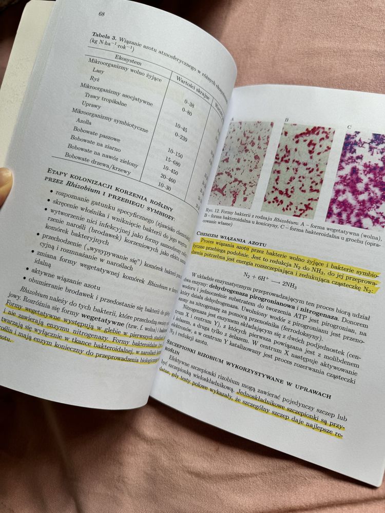 Przewodnik do ćwiczeń z mikrobiologii