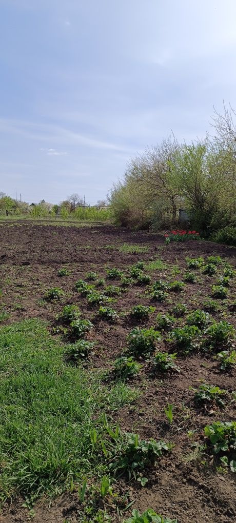 Продам будинок в смт Новомиколаївка