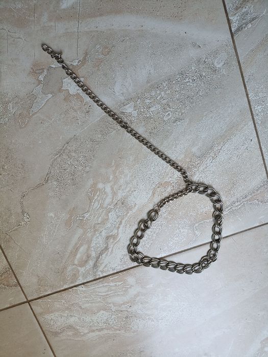 Повідок контролер ошийник