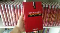 Enciclopédia LAROUSSE