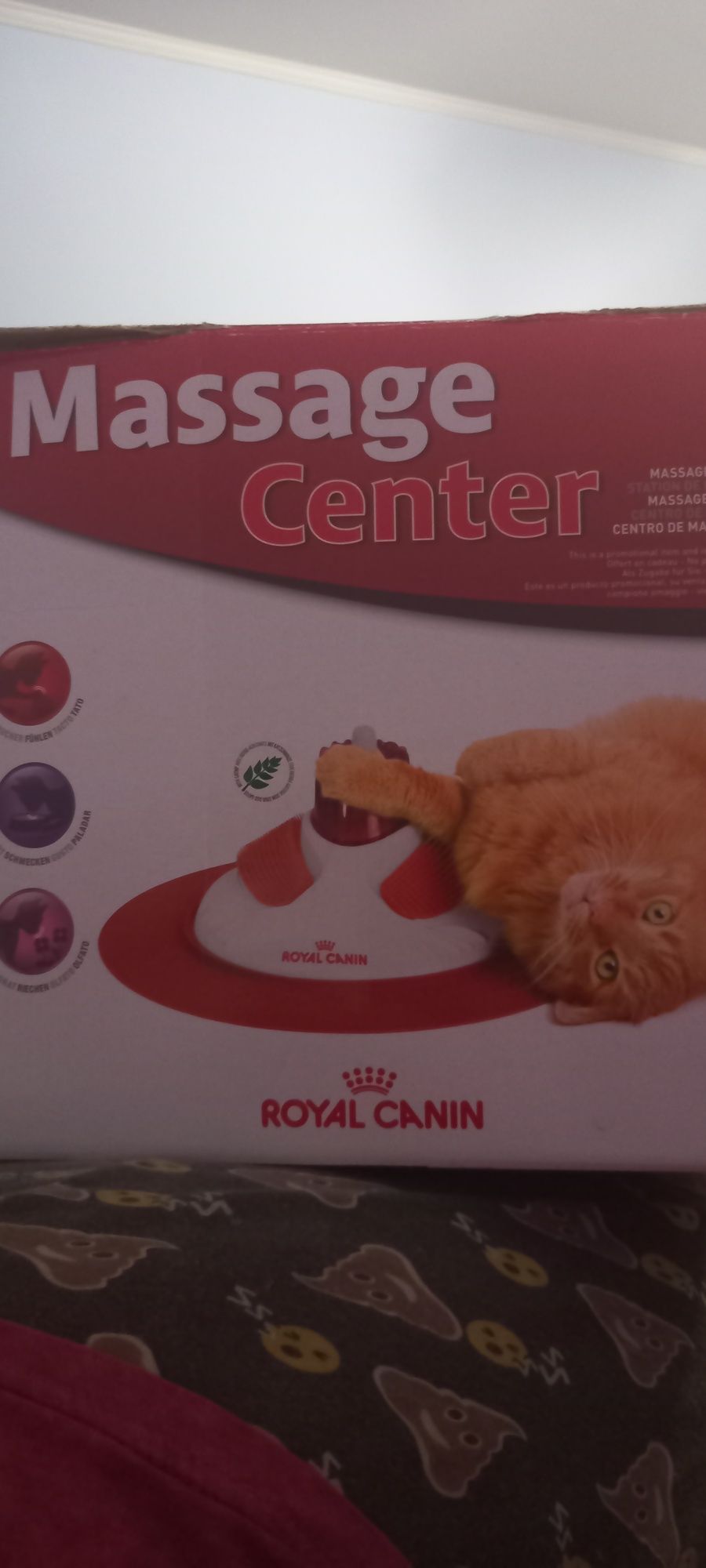 Массажный центр для котиков