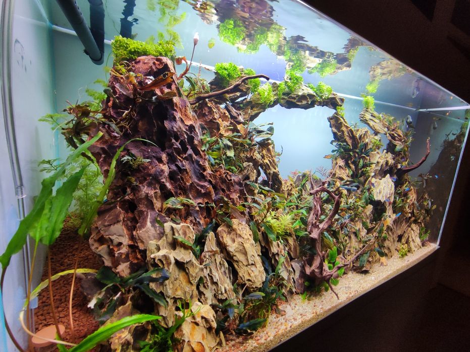 Akwarium cały zestaw 200l optiwhite