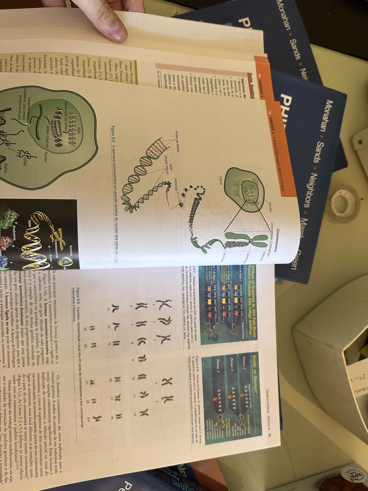Livros de enfermagem medico cirurgica