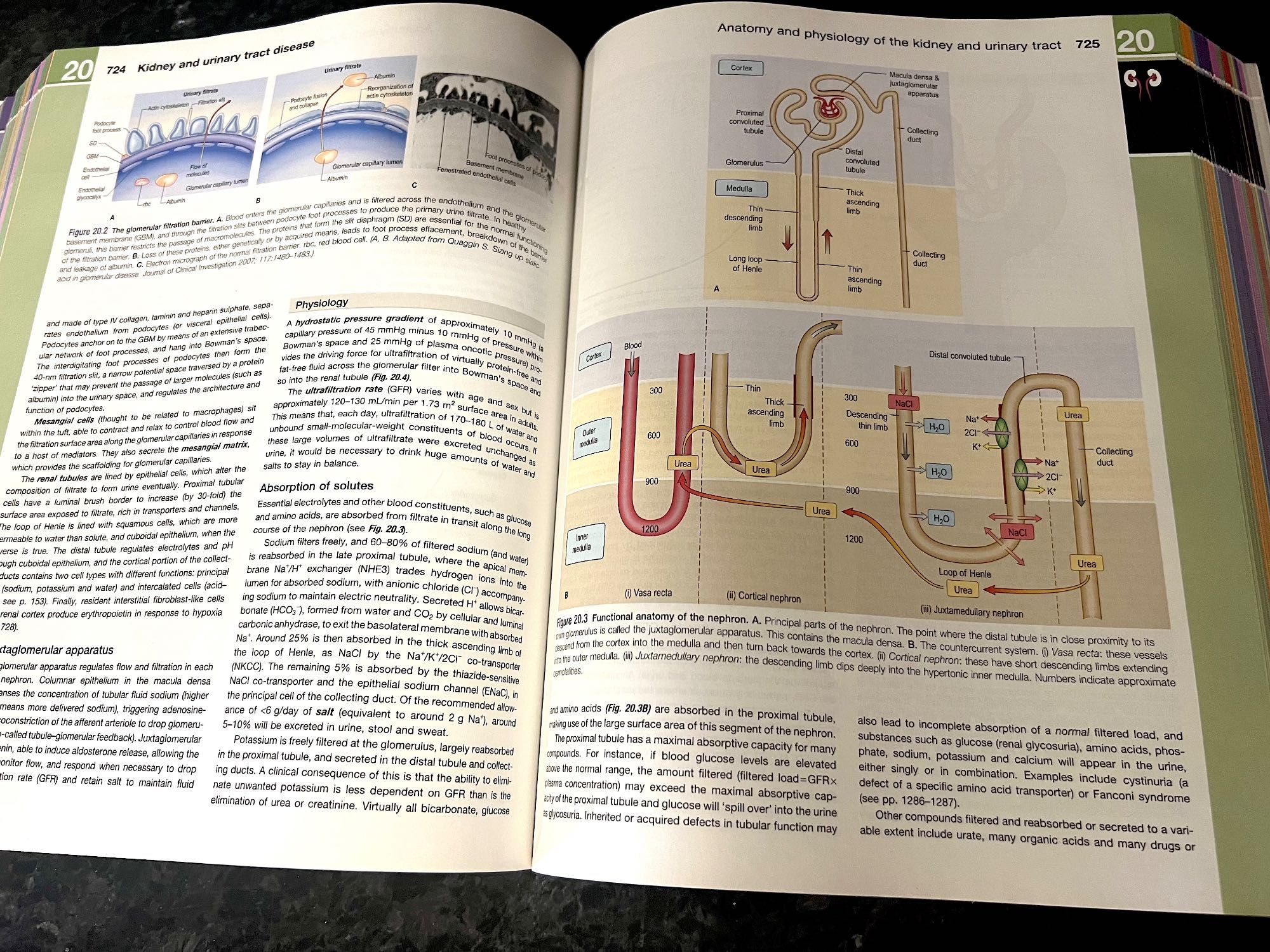 Kumar & Clark's Clinical Medicine 9