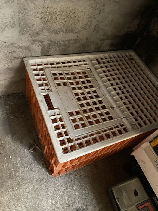 Jaulas de transporte de aves