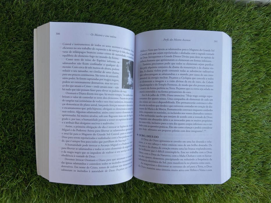 Livro "Os Mestres e os Seus Retiros" de Elizabeth e Mark Prophet