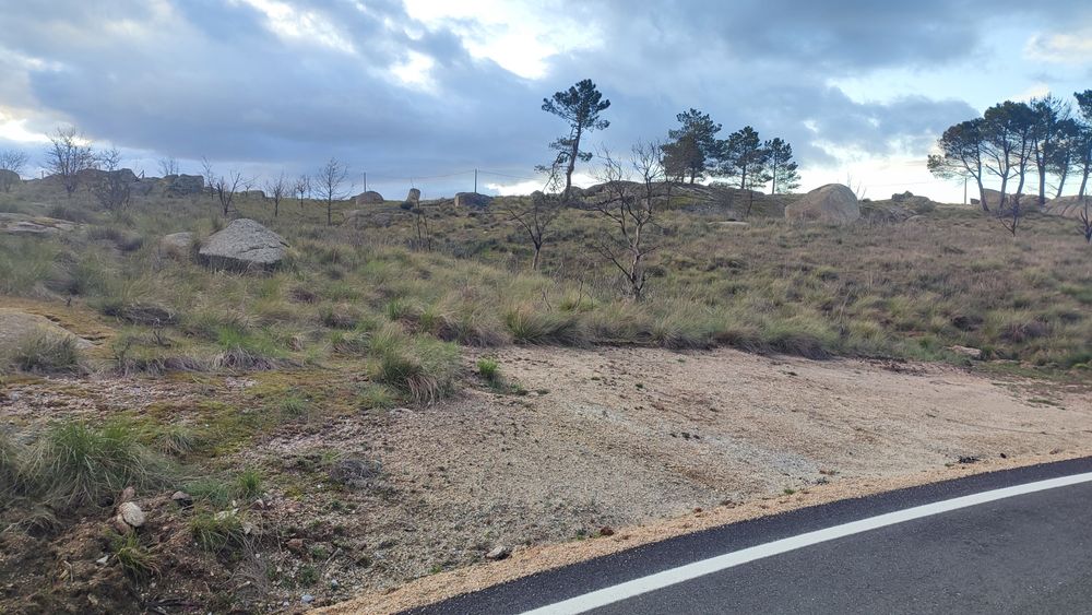Terreno em Alvendre, Guarda