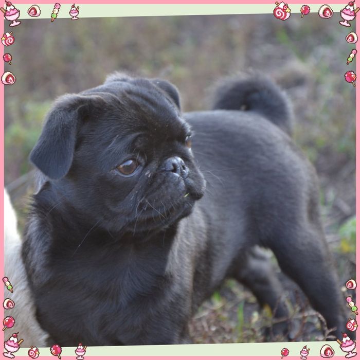 Мила та активна красуня