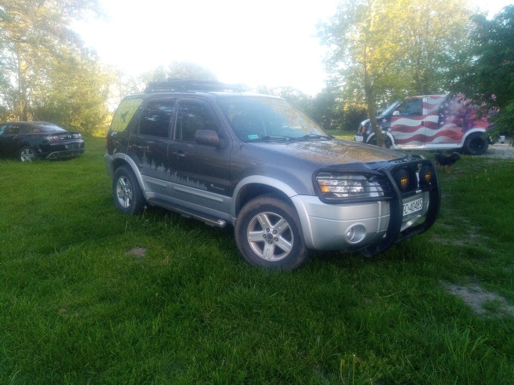 Ford Escape hybrid USA zamiana