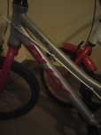 Rower puky LS PRO 18