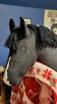 Hobby horse kary finland