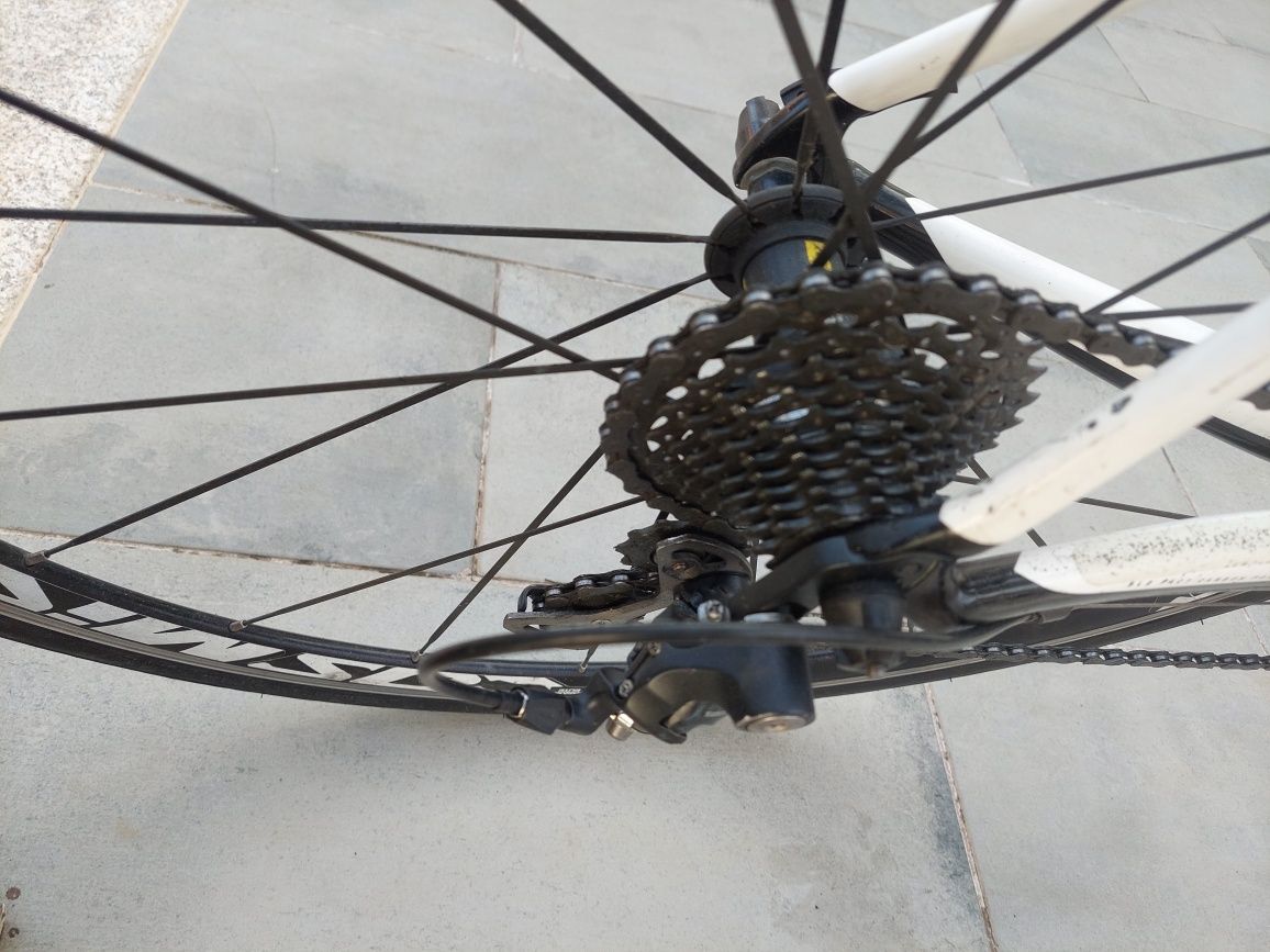 Specialized carbono