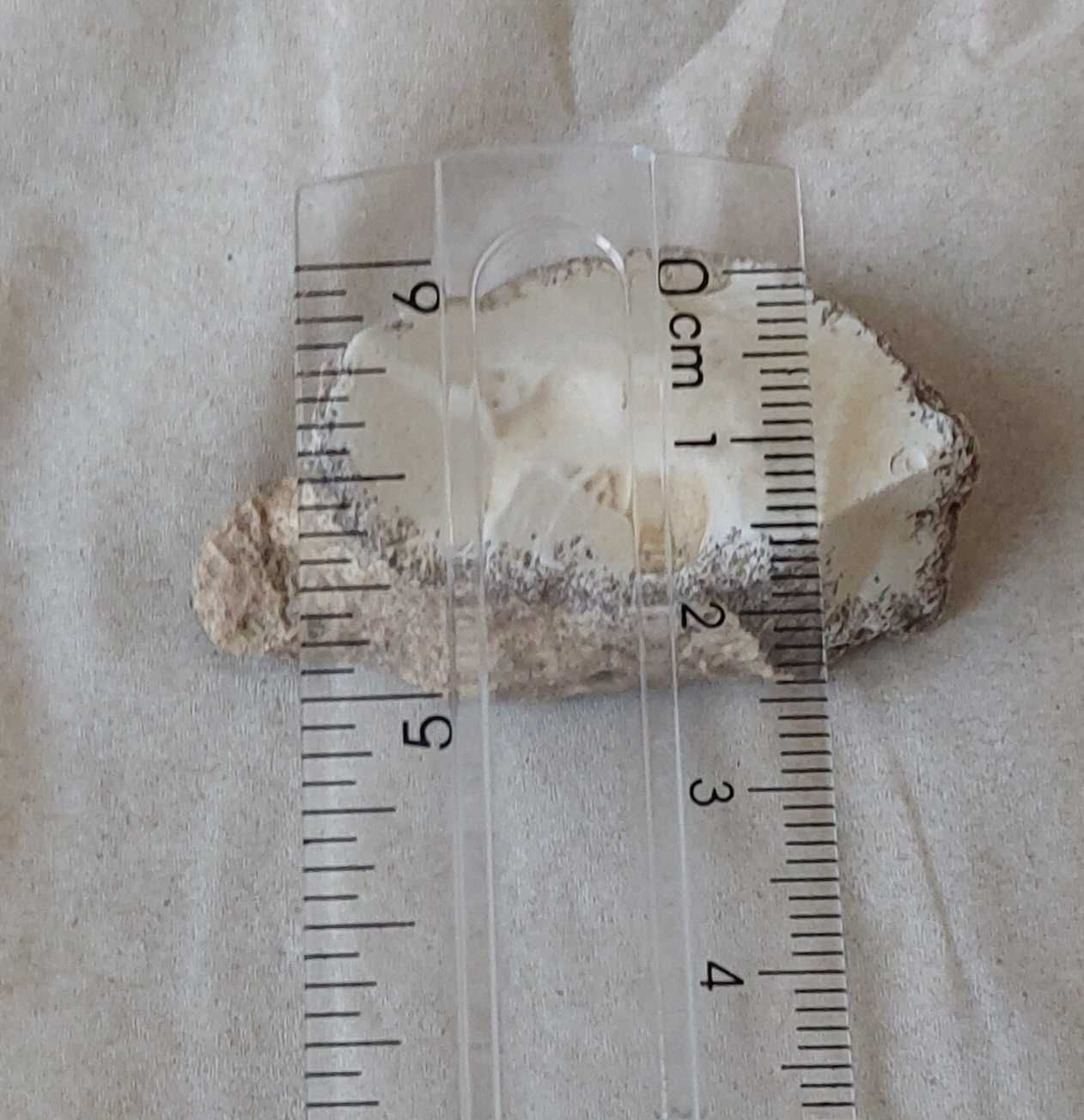 Dendrite Rock, Dendritik rock
