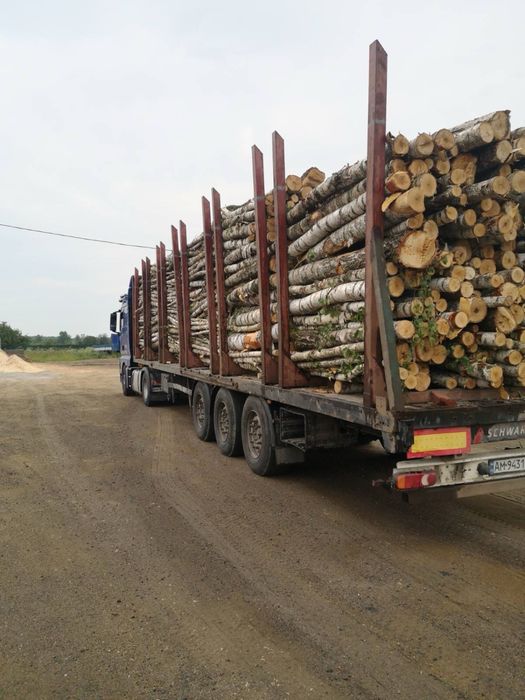 Продам дрова паливні (опт)