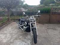 Honda Shadow blackwhidow