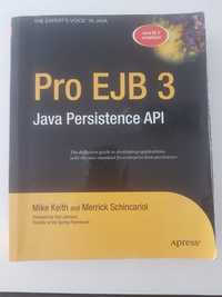 Pro EJB 3: Java Persistence API