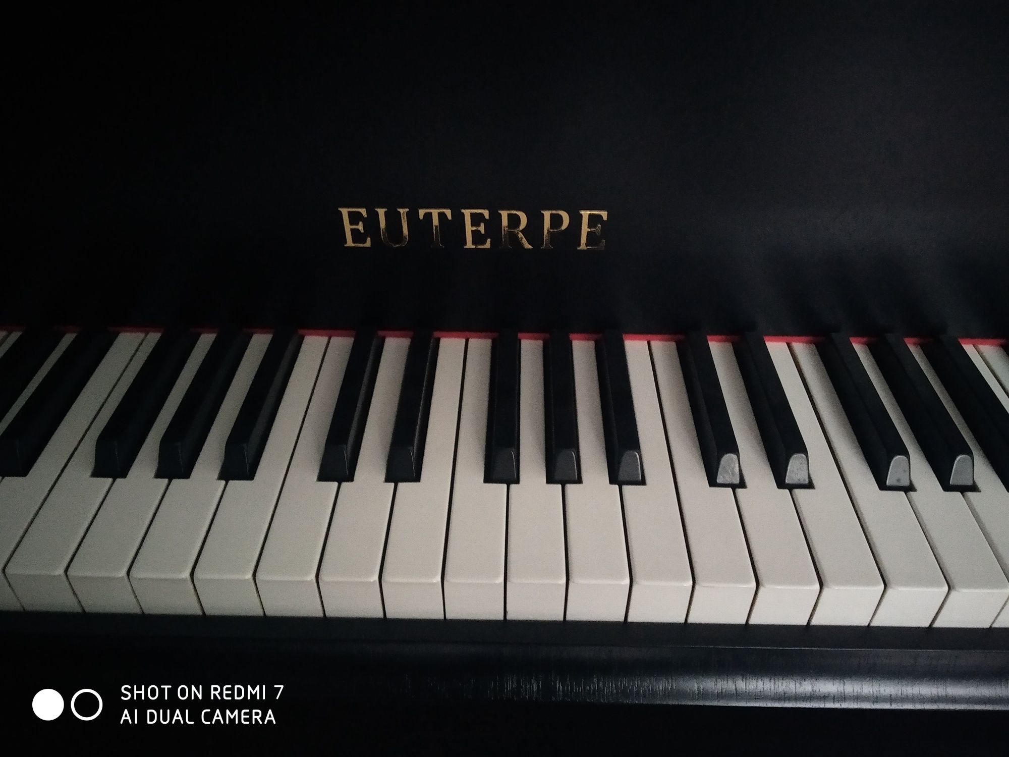 Fortepian Euterpe (Bechstein) stan idealny, transport, gwarancja