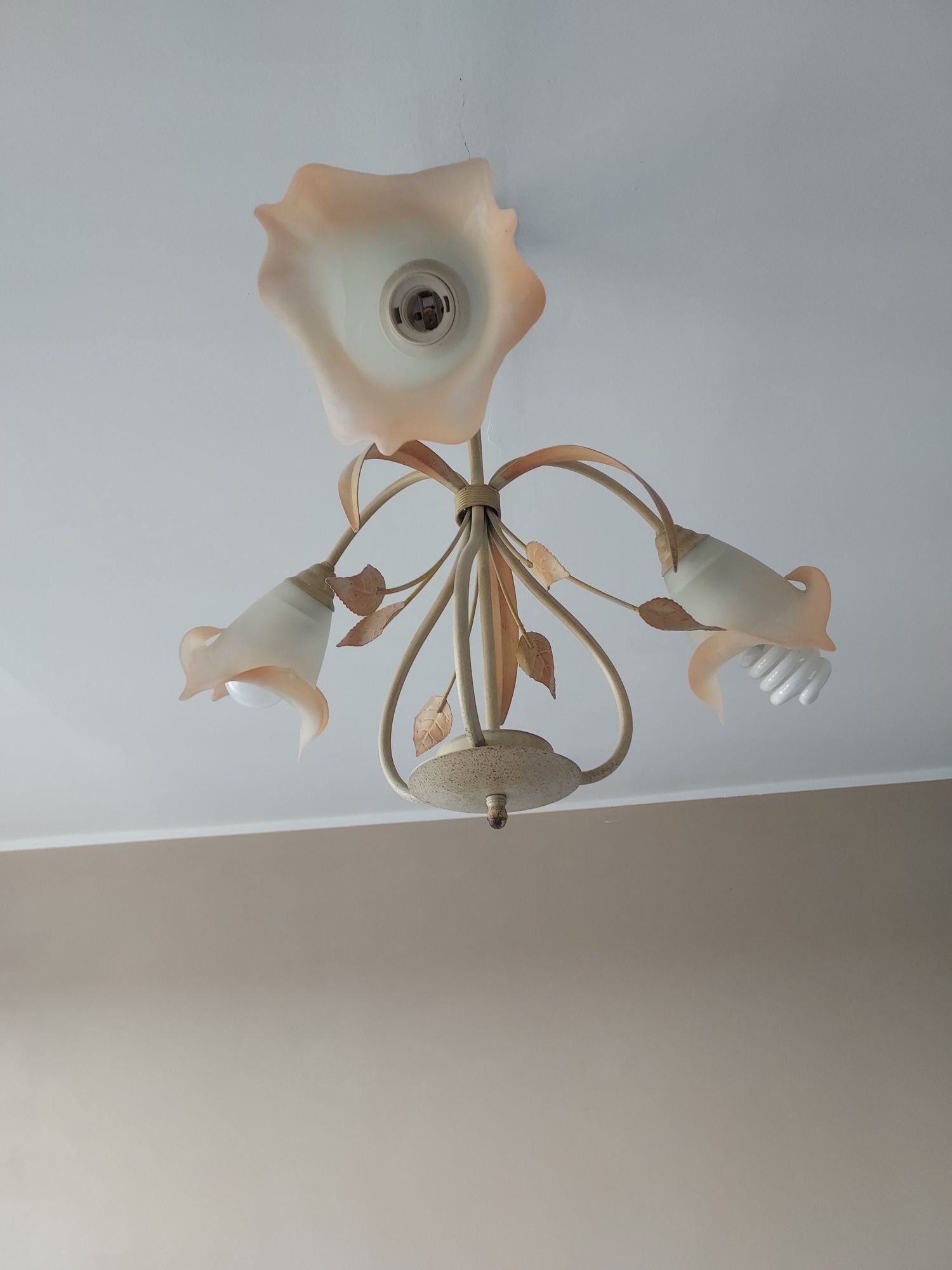 Piękny żyrandol kwiaty lampa sufitowa