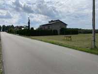 Dzialka 9000m Daszewice