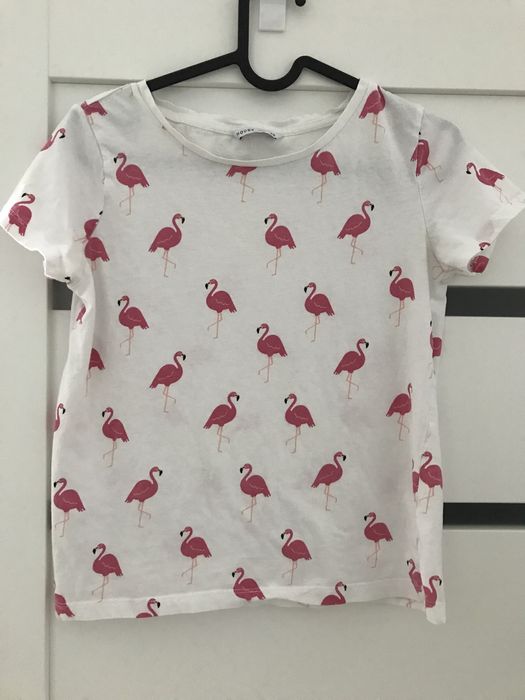 Bluza koszulka i spodnie r 146