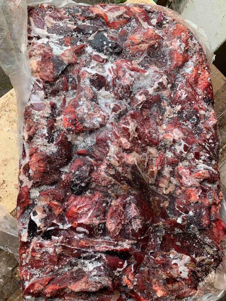 Мʼясообрізь для собак мясо корм собакам фарш субпродукти
