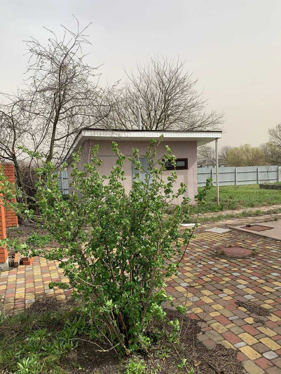 Продам дачу. Броварской район. С. Соболевка