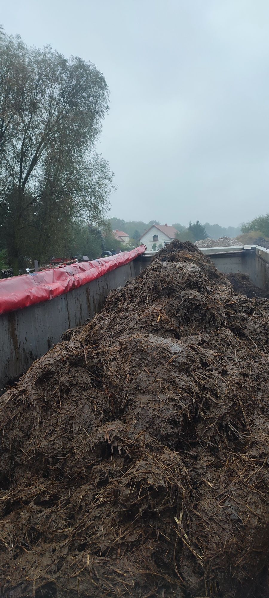 Obornik bydlęcy krowi dostawy tresciwy