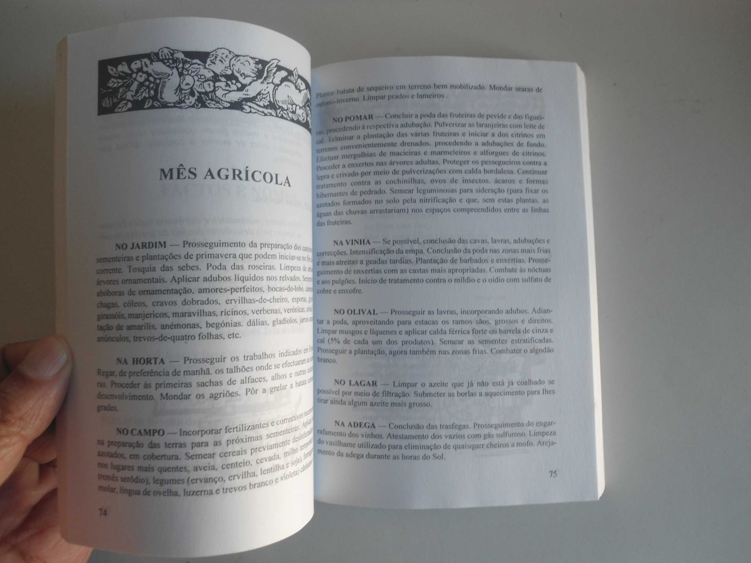 Almanaque de Santo António (1995)