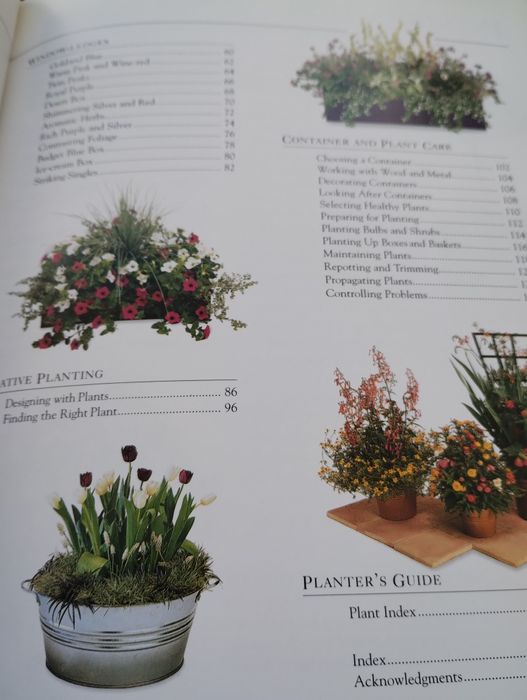 Gardening without garden ogród w pojemnikach  rośliny na taras balkon