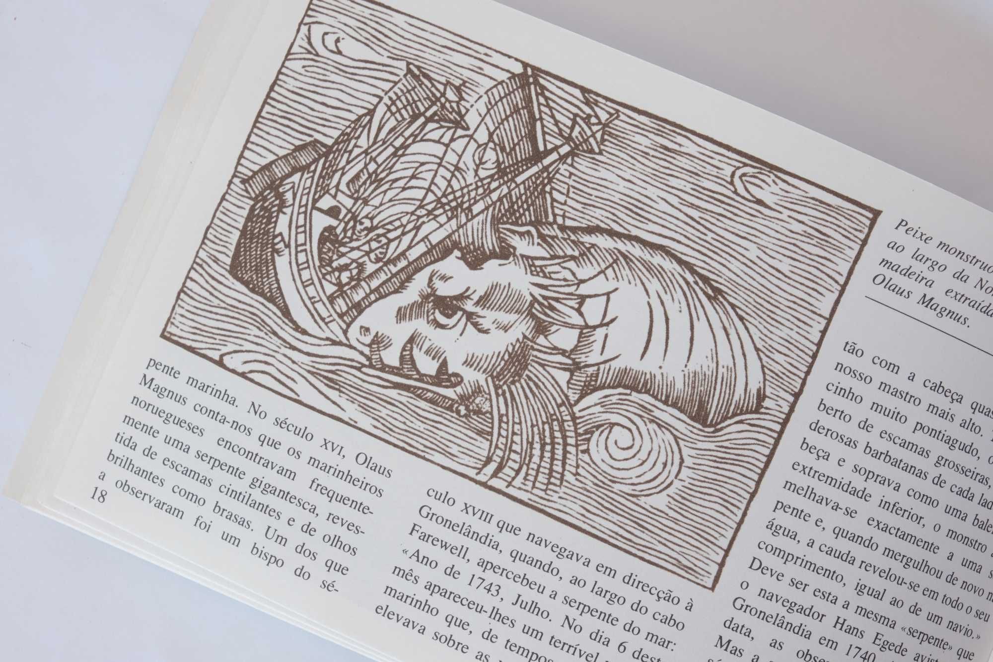 As Misteriosas Lendas do Mar