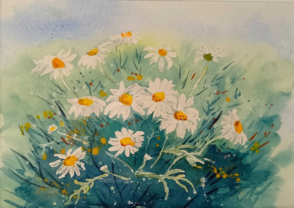 Obraz ręcznie malowany akwarela 30x40 rumianki