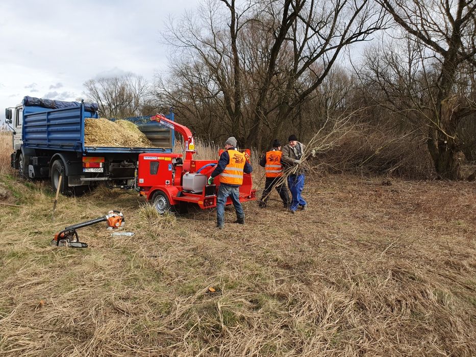 Usługi rębakiem, karczowanie, porządkowanie działki