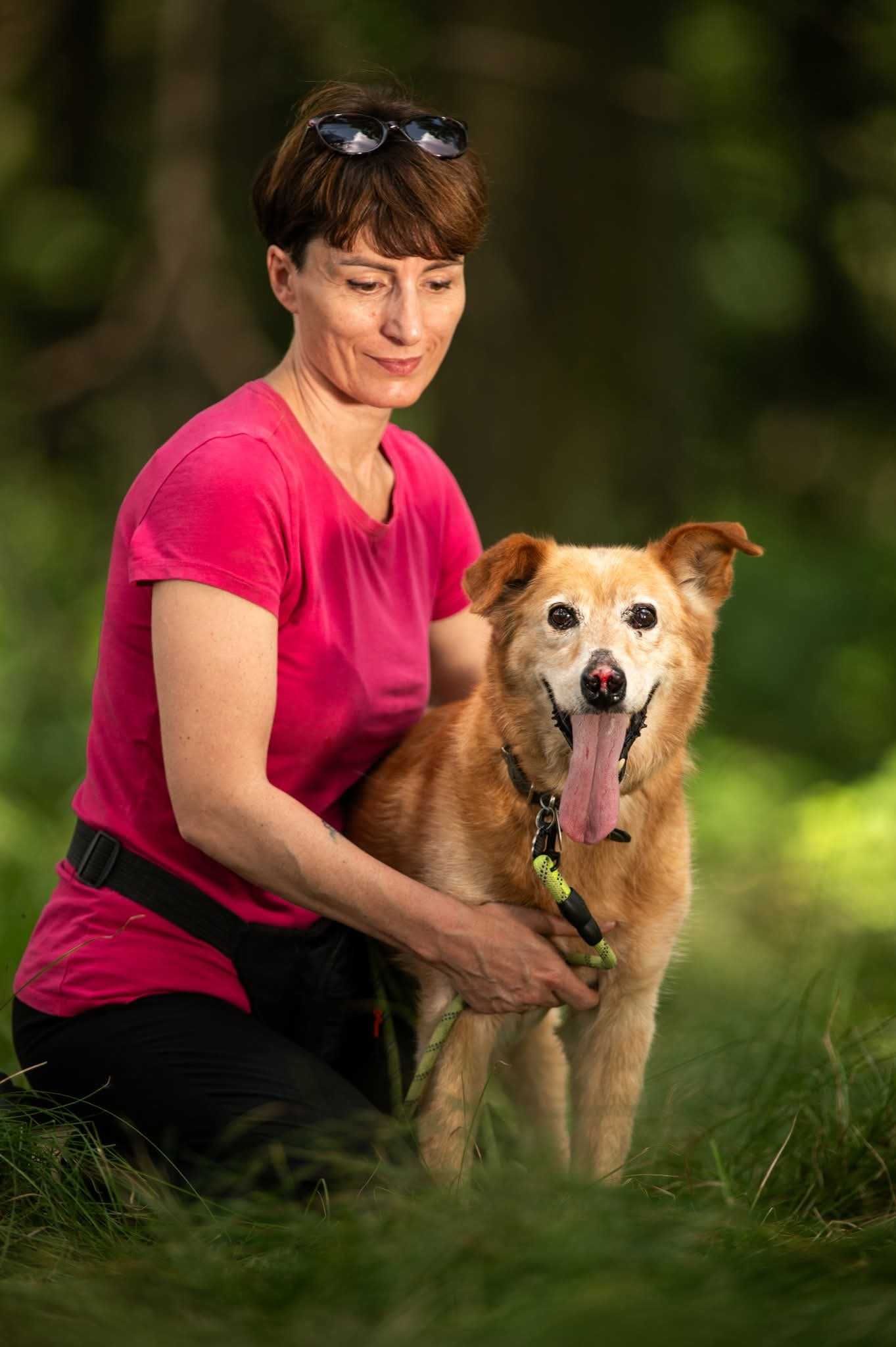 Nosek - rudy slodziak szuka domu ADOPCJA