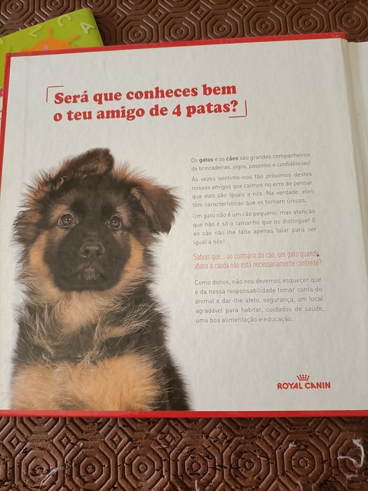 Livro Mãe, Pai! Eu quero um...