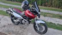 Suzuki xf 650 freewind