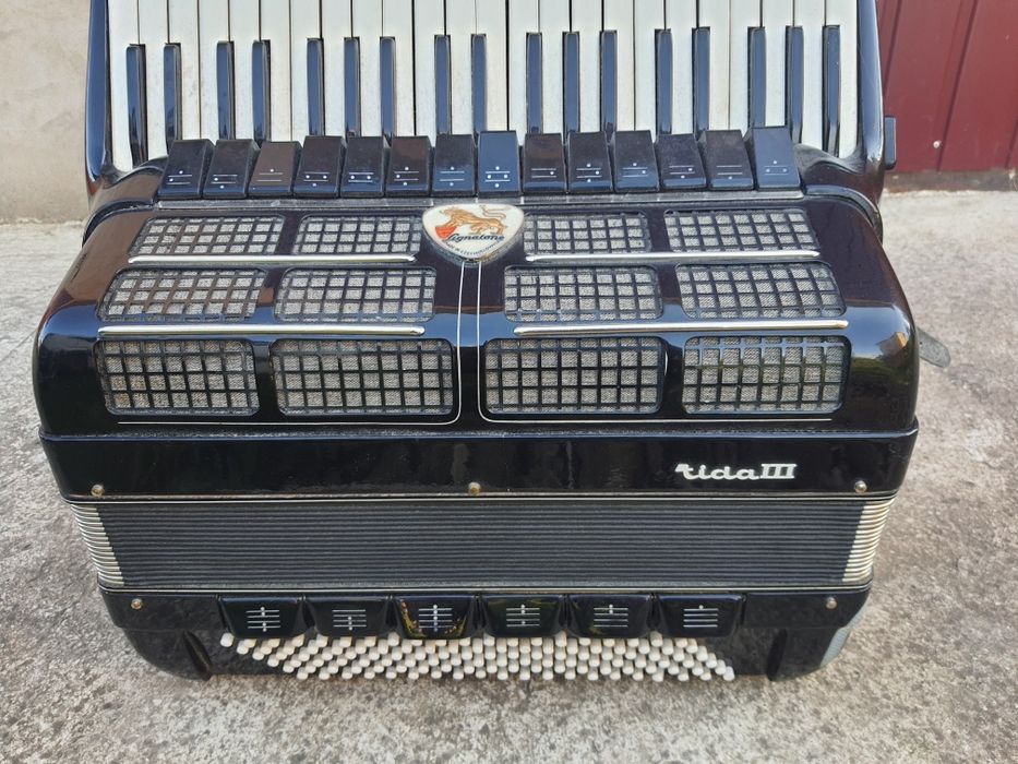 Акардеон Lignatone